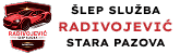 Radivojevic Logo Horizontalni